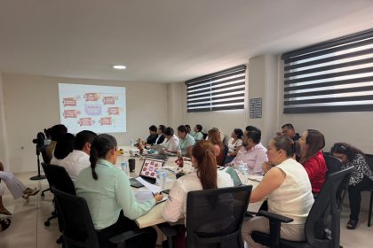 Segunda Sesión Ordinaria del Consejo Estatal de Salud Mental y Contra las Adicciones (CESMA) GUERRERO