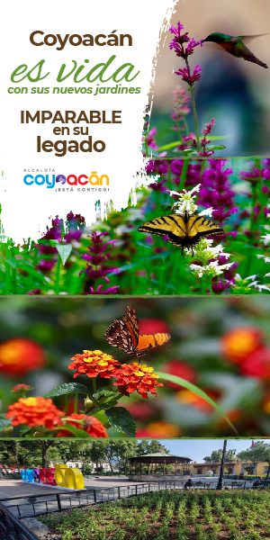 banner digital coyoacán es vida 300x600