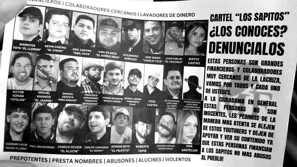 cártel de los sapitos, señalados por lavar dinero