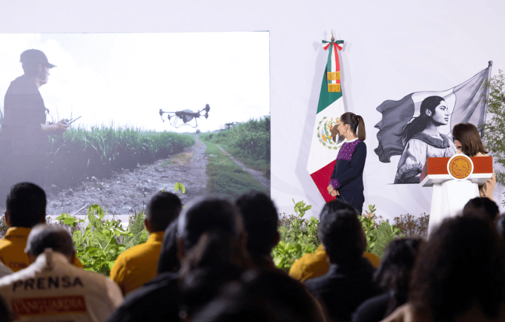 jornada nacional reforestación 2