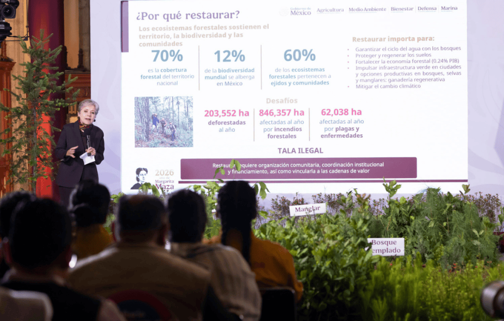 jornada nacional reforestación 4