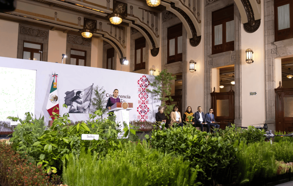 jornada nacional reforestación