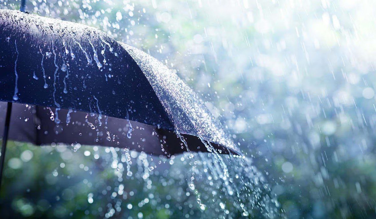 lluvias 12 agosto clima méxico