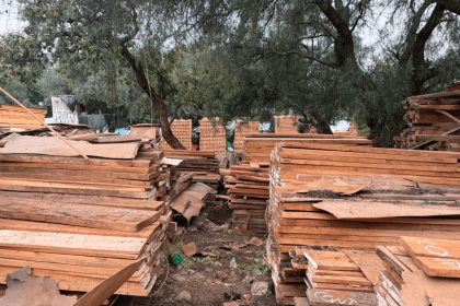 madera ilegal asegurada tlalpan (1)