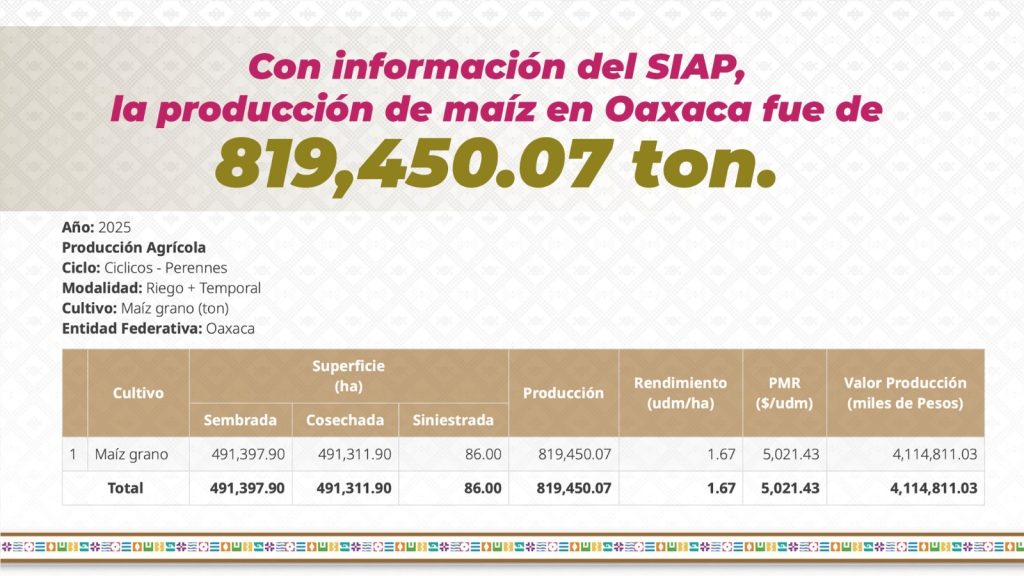 oaxaca (4)
