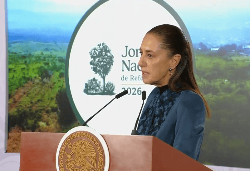 sheinbau gran jornada nacional de reforestación