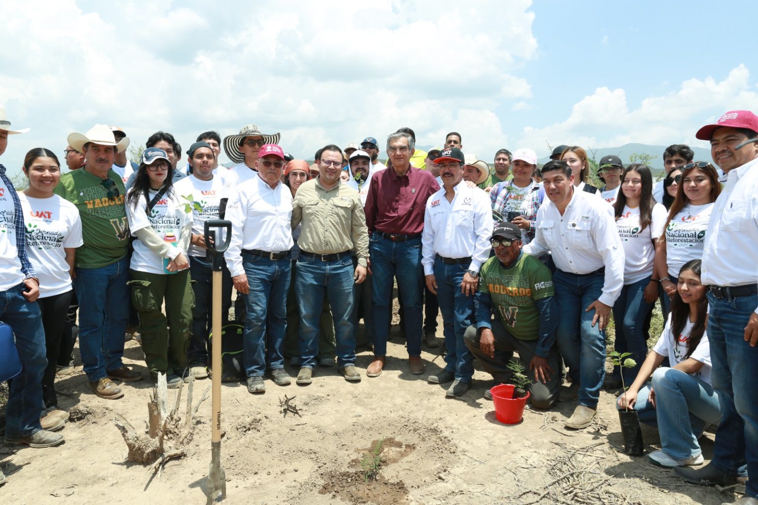 tamaulipas reforestacion