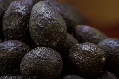 aguacate michoacán