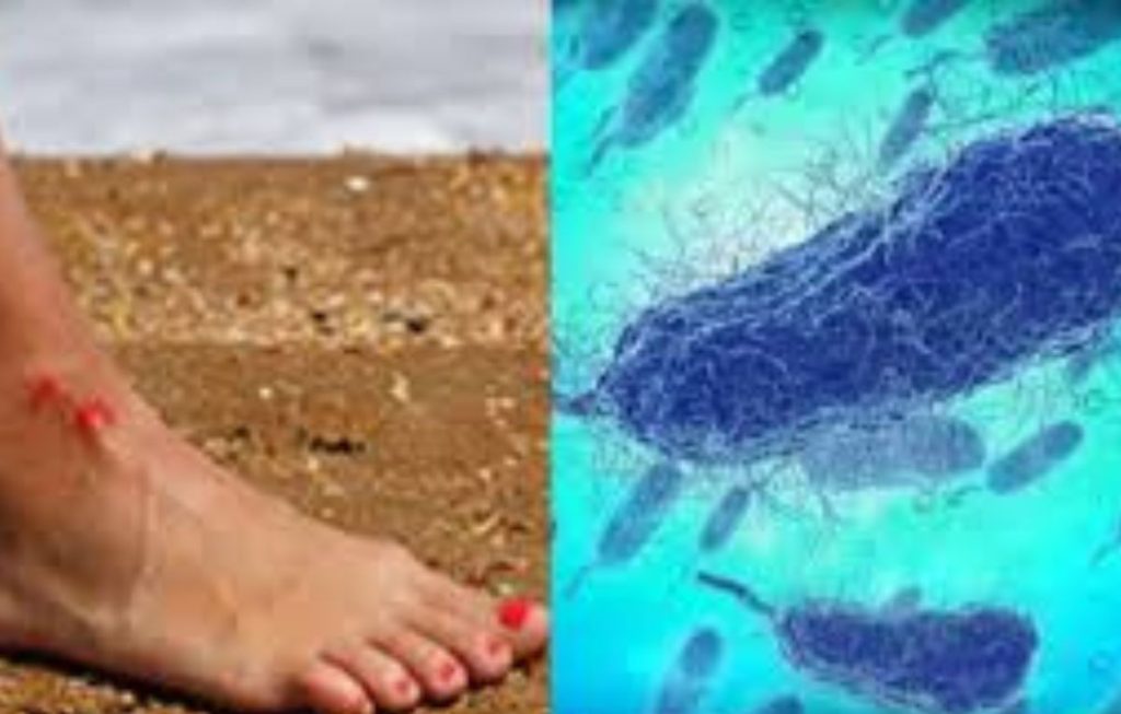 bacteria come carne dos