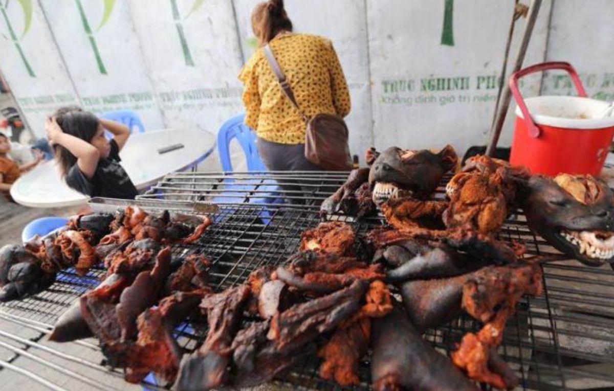 carne de perro en corea dos