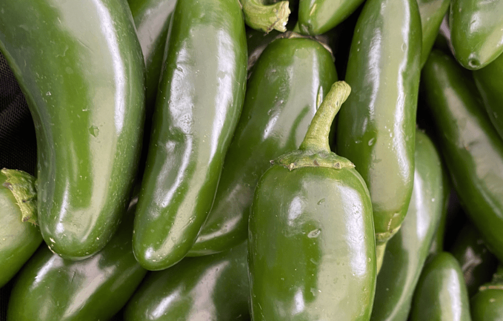 Cofepris descarta salmonerla en jalapeños de Nuevo León. Foto: Pexels