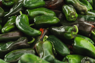 Cofepris descarta salmonerla en jalapeños de Nuevo León. Foto: Pexels