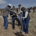 delfina gomez reforestacion