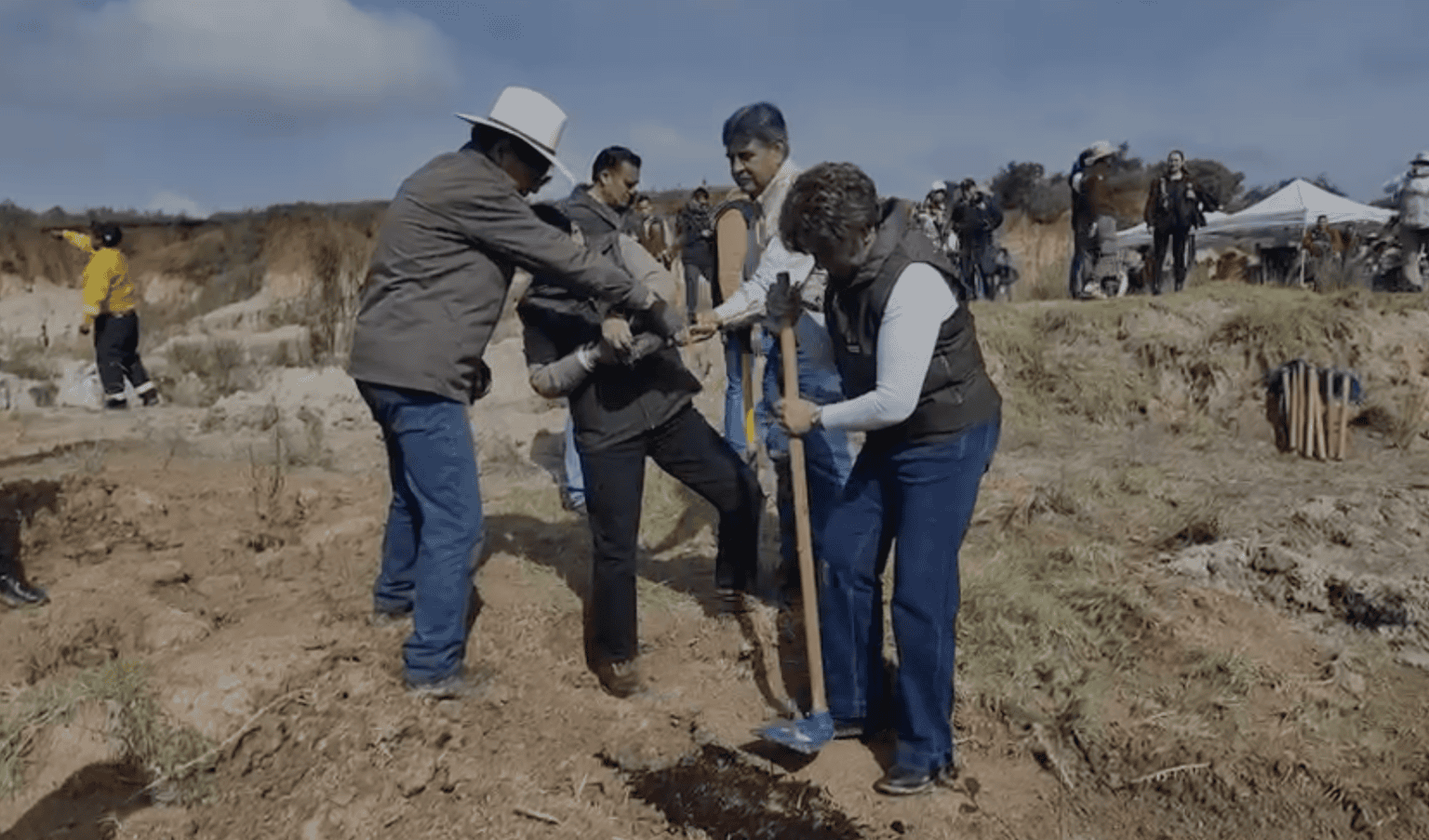 delfina gomez reforestacion