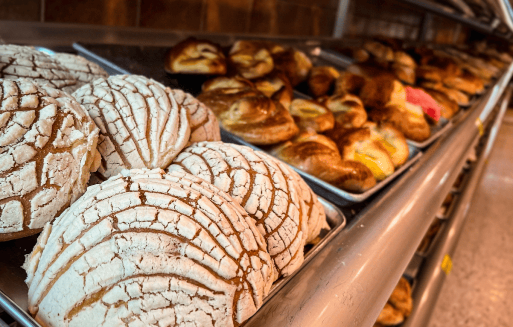 pan dulce patrimonio inmaterial cdmx (3)