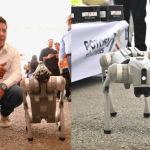 perros robot