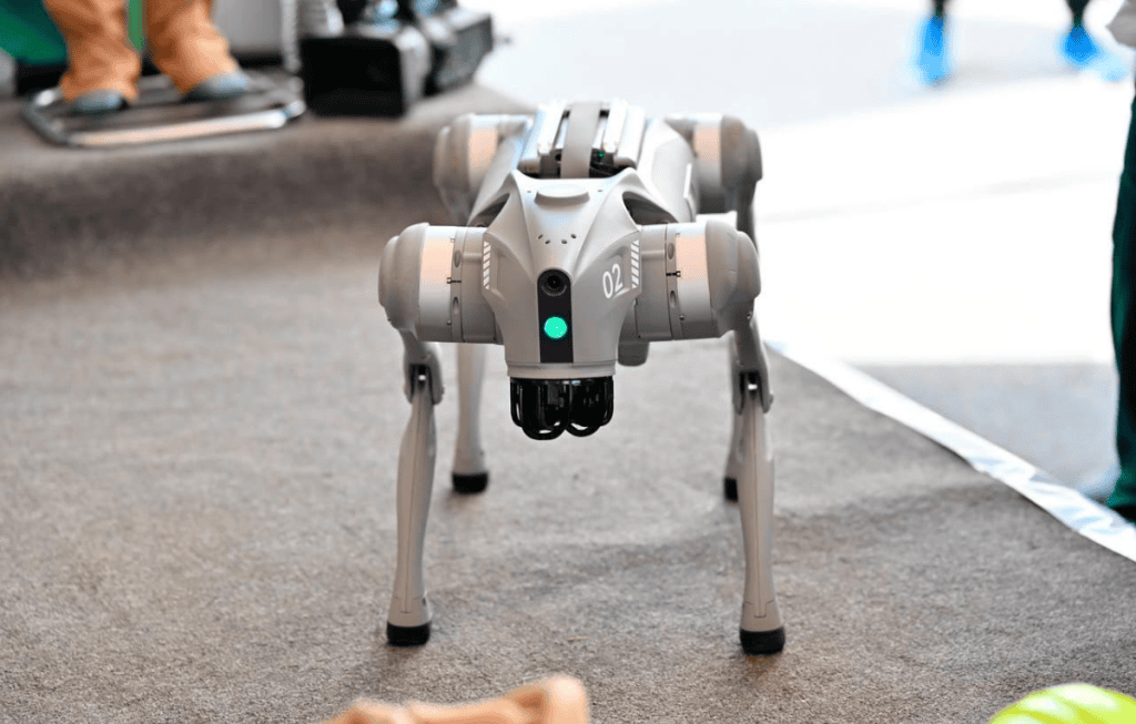 perros robot 2