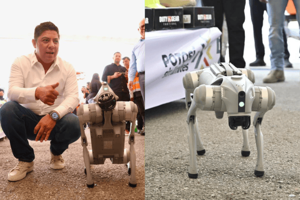 perros robot