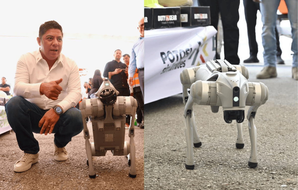 perros robot